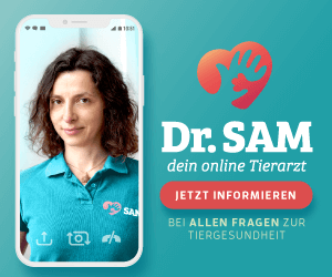 Dr. SAM - dein online Tierarzt